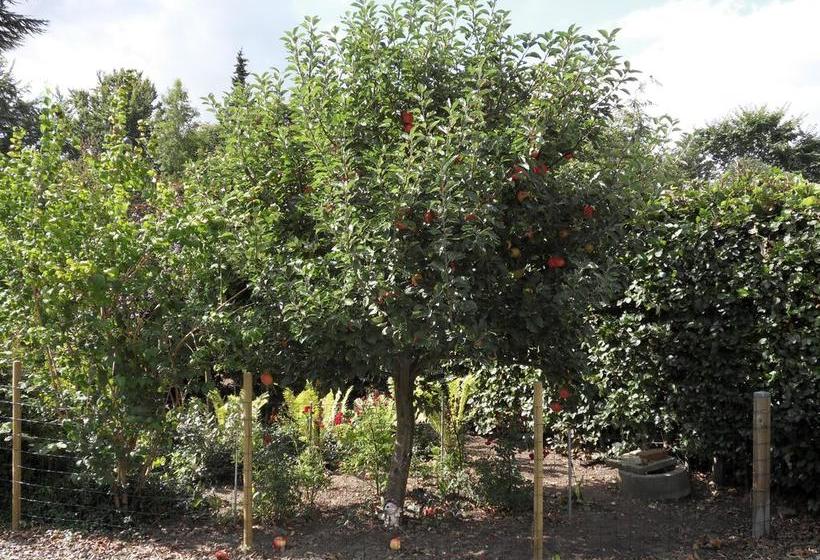 Bed And Breakfast Birkerod