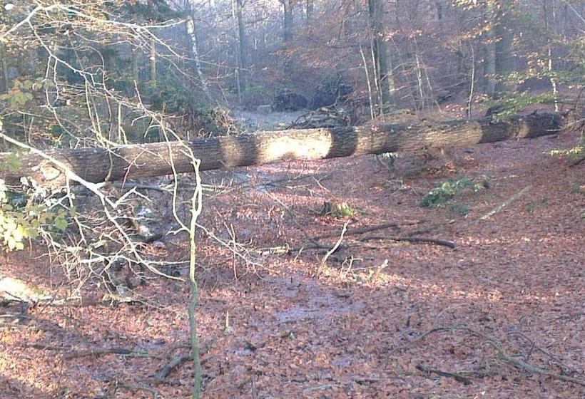 Bed And Breakfast Birkerod