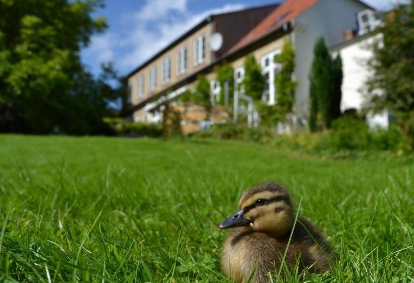 Det Gamle Apotek Bed & Breakfast
