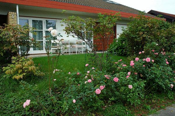 צימר Rosehouse Hillerød Bed And Kitchen