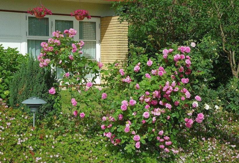 צימר Rosehouse Hillerød Bed And Kitchen