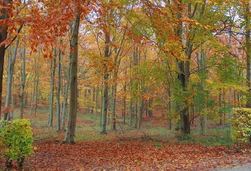 צימר Rosehouse Hillerød Bed And Kitchen