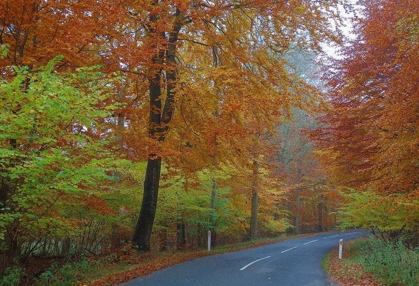 צימר Rosehouse Hillerød Bed And Kitchen