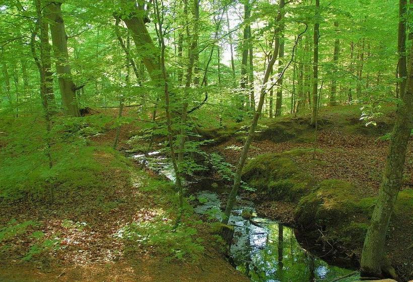 צימר Rosehouse Hillerød Bed And Kitchen