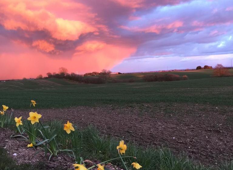 Vejle Golf Bed & Breakfast