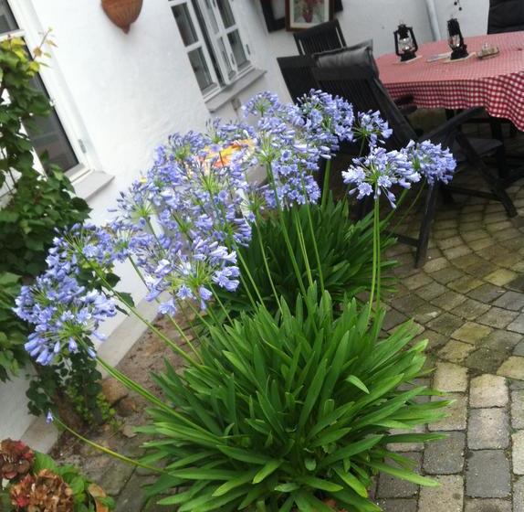 Vejle Golf Bed & Breakfast