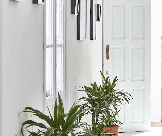 ベッドアンドブレックファースト Bekkeh