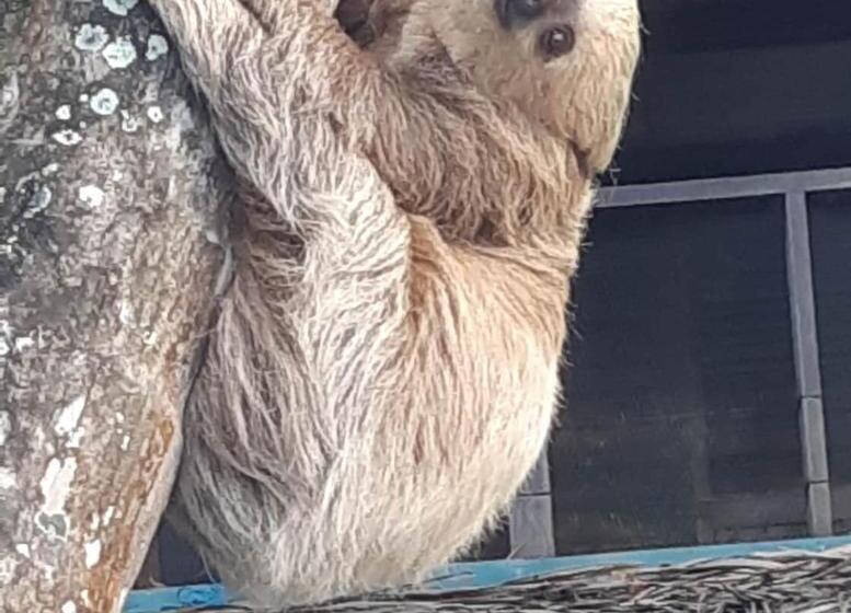 민박 Carmen's Place