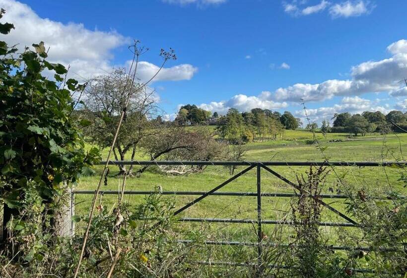 Eagle House   Award Winning B&b And Apartment