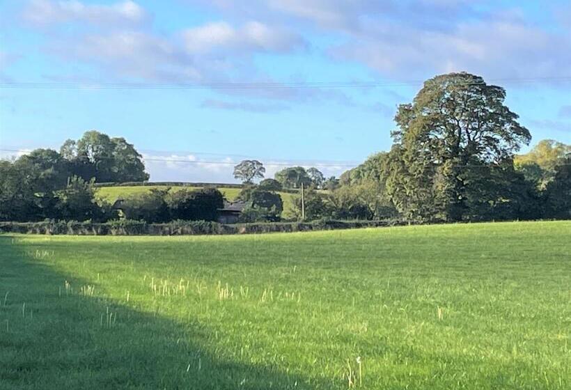 Eagle House   Award Winning B&b And Apartment