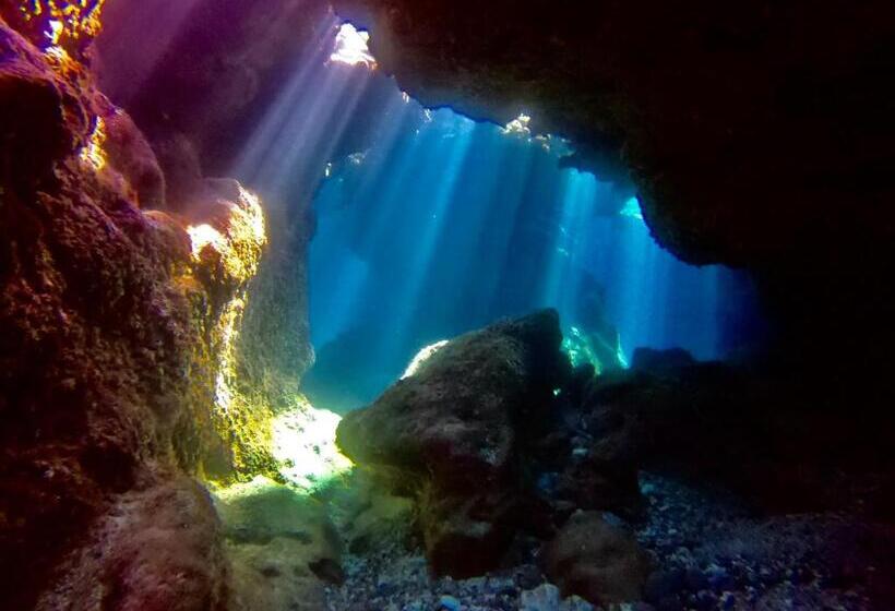 تختخواب و صبحانه 綠島寧靜海潛水 城堡館 Twinkleocean Diving Hostel