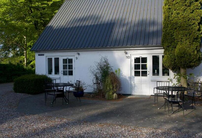 مبيت وإفطار Tiendegaarden Møns Klint