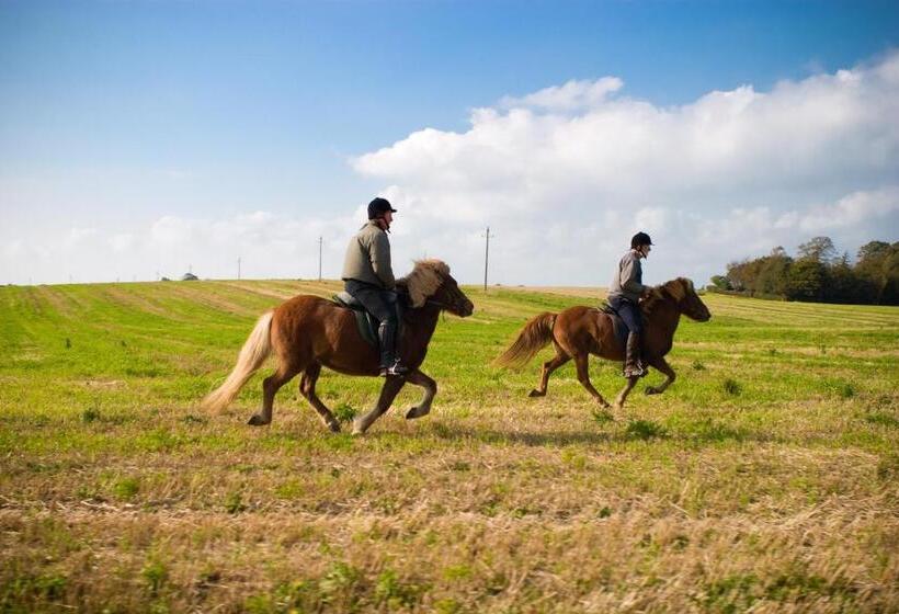 تختخواب و صبحانه Tiendegaarden Møns Klint