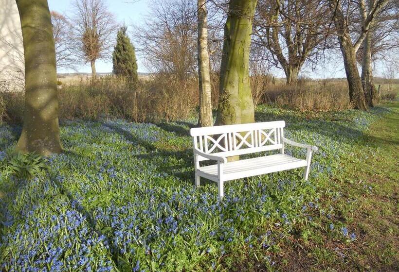 مبيت وإفطار Tiendegaarden Møns Klint