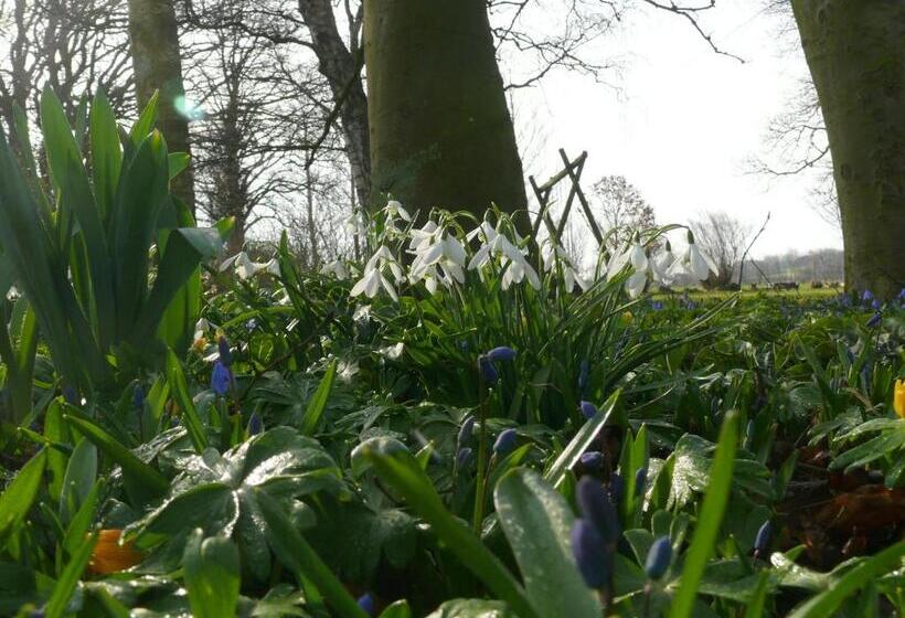 مبيت وإفطار Tiendegaarden Møns Klint