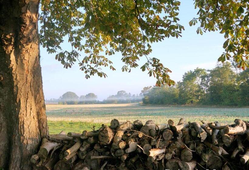 تختخواب و صبحانه Tiendegaarden Møns Klint