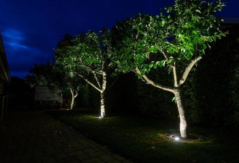 Bed & Breakfast Horsens   Udsigten