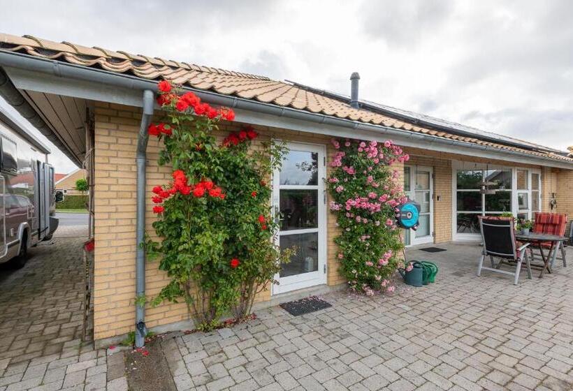 Bed & Breakfast Horsens   Udsigten