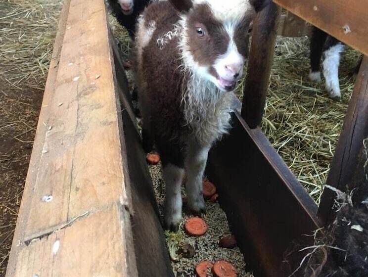 Birkende Bed And Breakfast