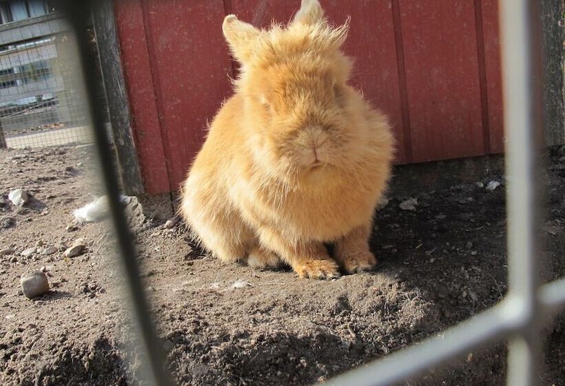 Birkende Bed And Breakfast