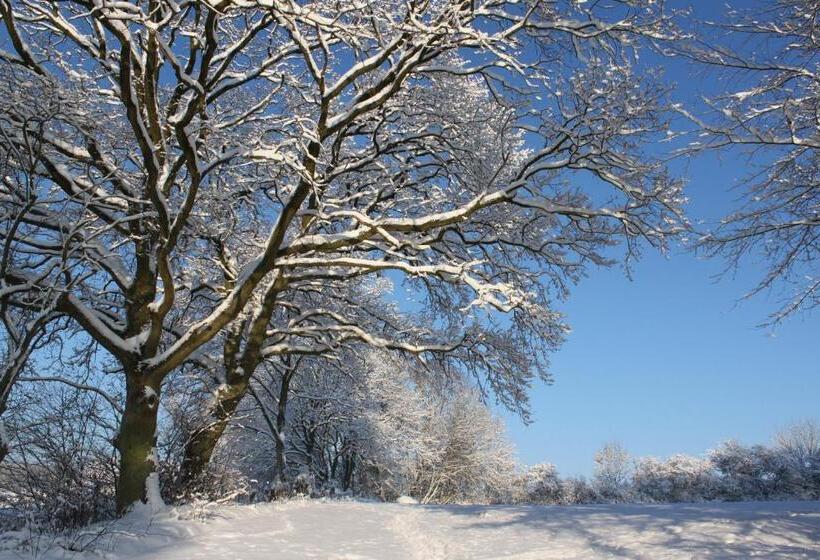 Borup Bed & Breakfast