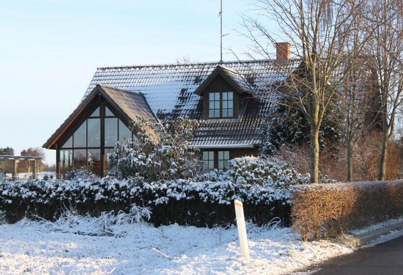 Borup Bed & Breakfast