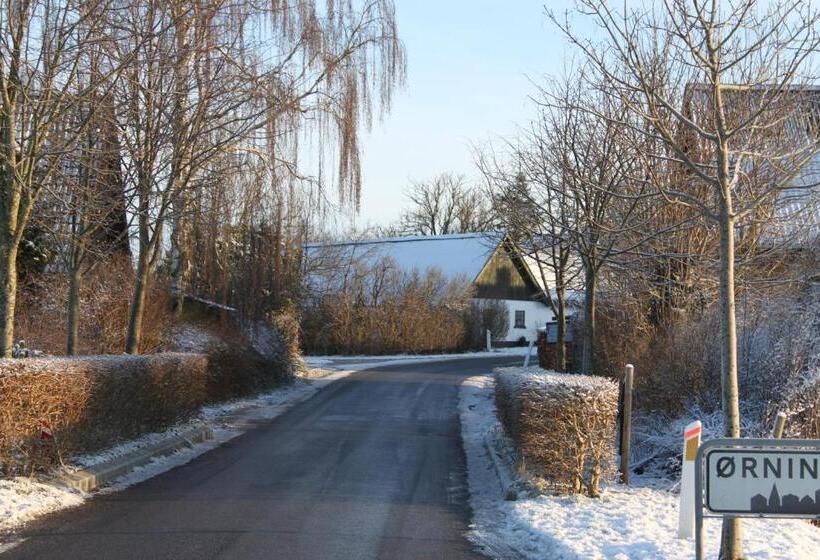 Borup Bed & Breakfast