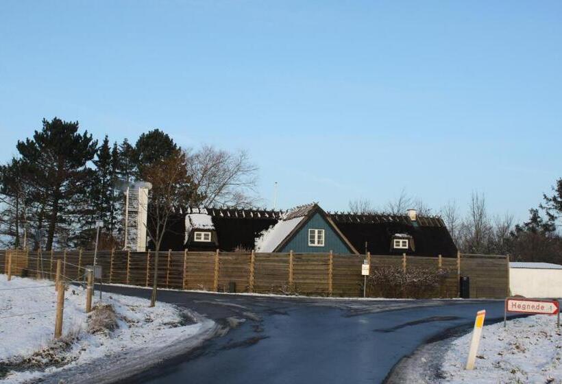 Borup Bed & Breakfast