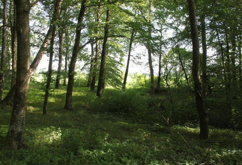 Borup Bed & Breakfast