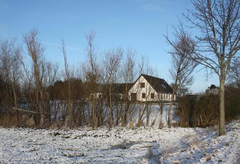 Borup Bed & Breakfast