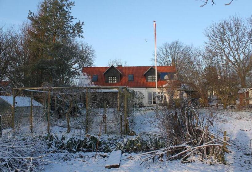 Borup Bed & Breakfast