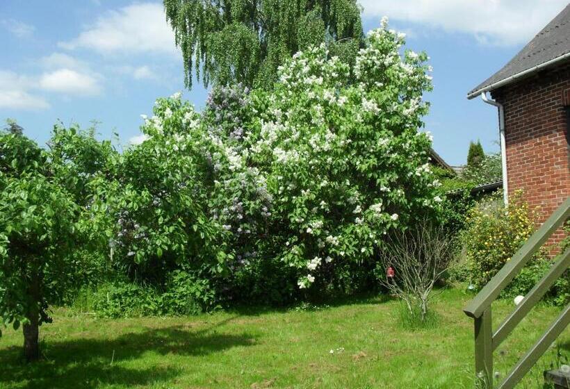 Borup Bed & Breakfast