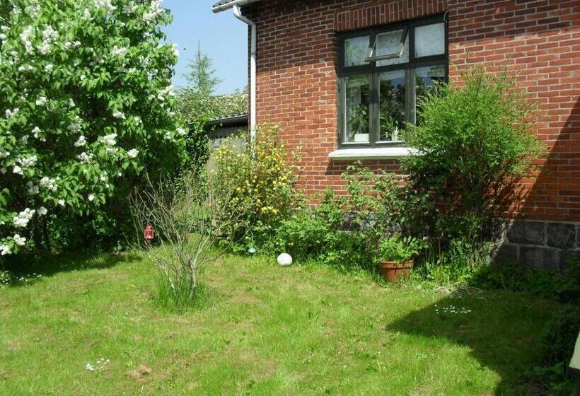 Borup Bed & Breakfast