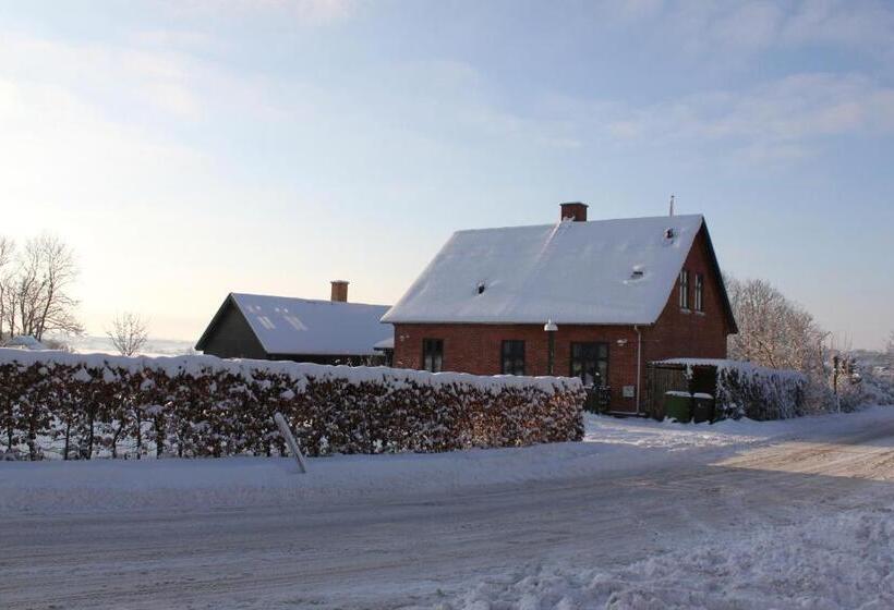 Borup Bed & Breakfast