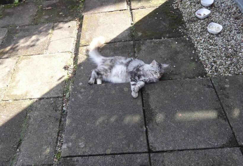 Casa Mundo Bed & Breakfast