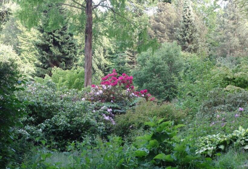 Casa Mundo Bed & Breakfast