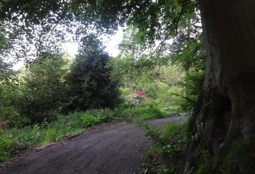 Casa Mundo Bed & Breakfast