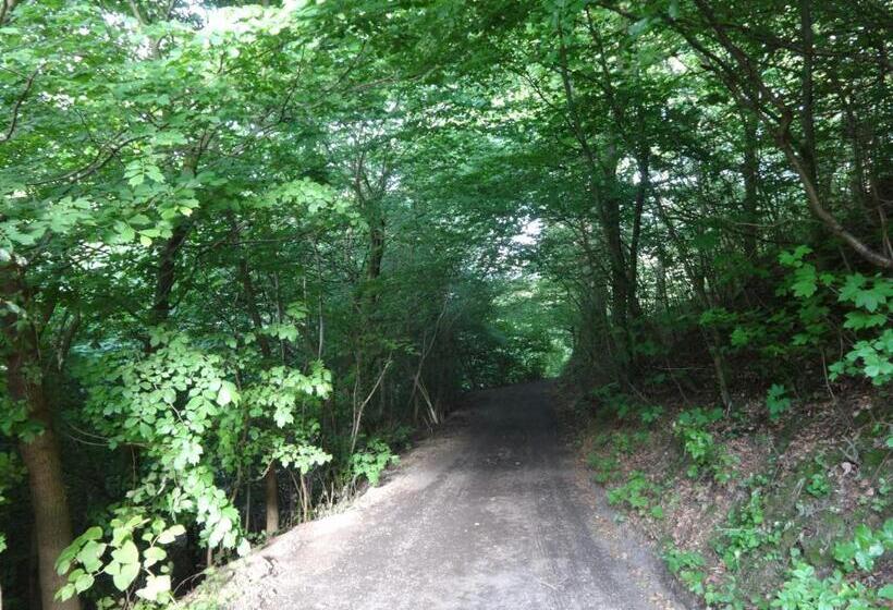 Casa Mundo Bed & Breakfast