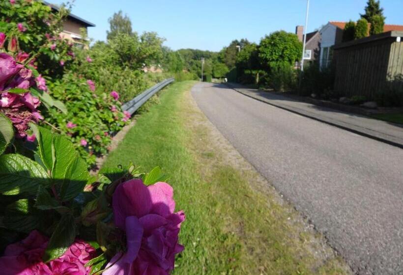 Casa Mundo Bed & Breakfast