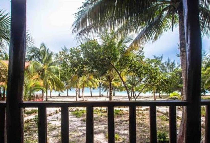 Курорт Malibu Hostel