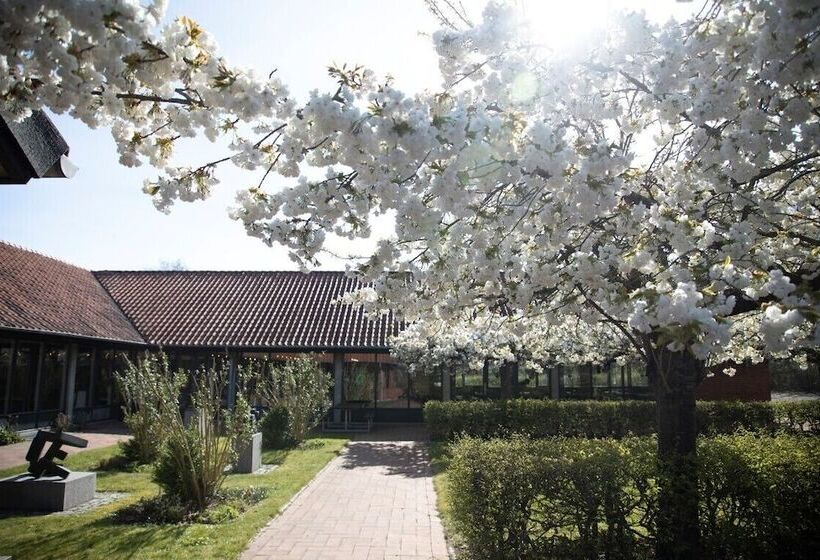 Sønderborg City Hostel