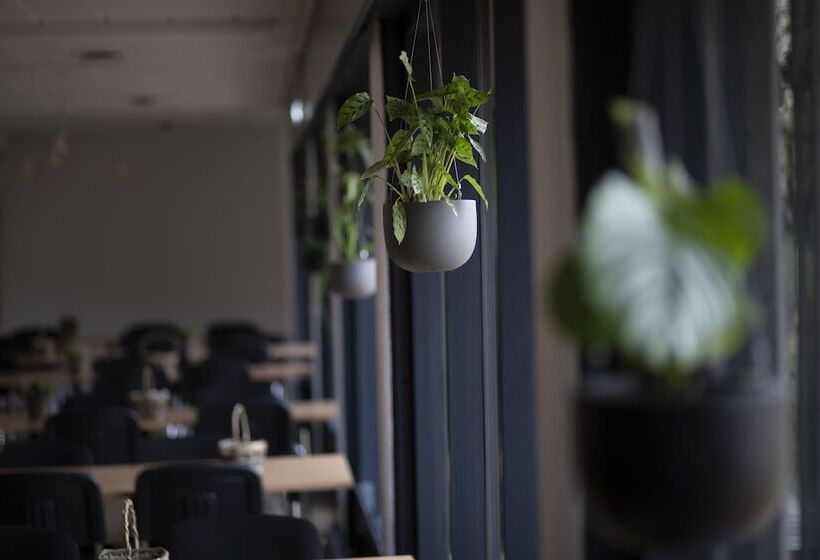 Sønderborg City Hostel