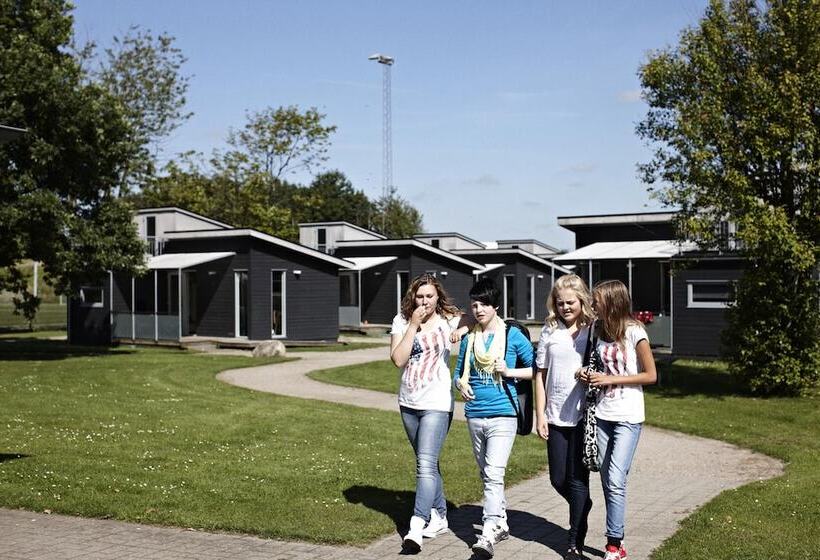 Sportsby Vejen Danhostel, Huse Og Lejligheder
