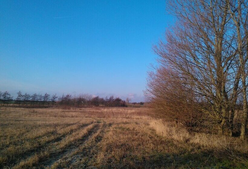 Holmehuset Bed & Breakfast