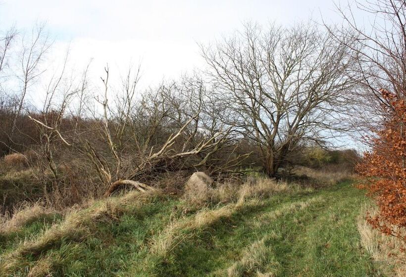 Holmehuset Bed & Breakfast