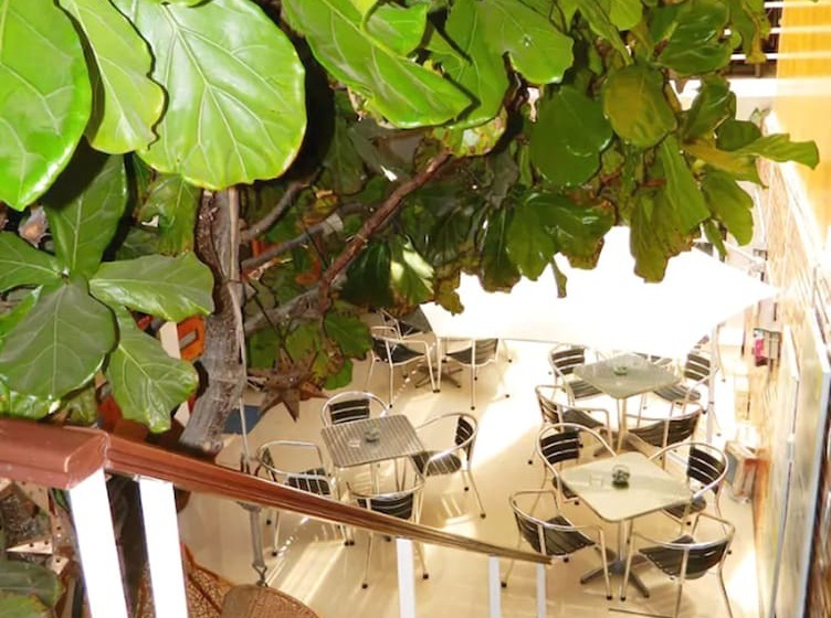 Hostal Jardin Del Sol