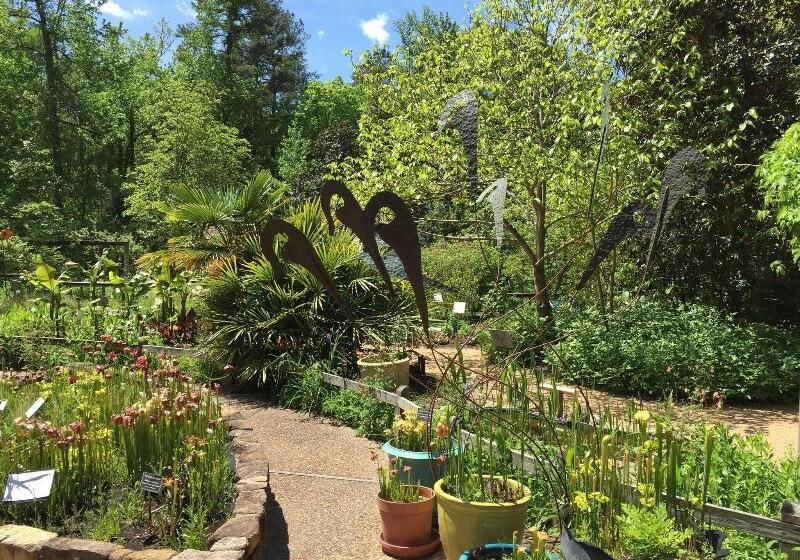 Ac Hotel By Marriott Chapel Hill Downtown