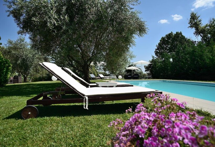 ホテル Agriturismo Al Colle