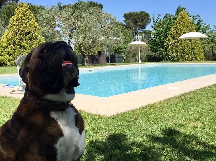 ホテル Agriturismo Al Colle