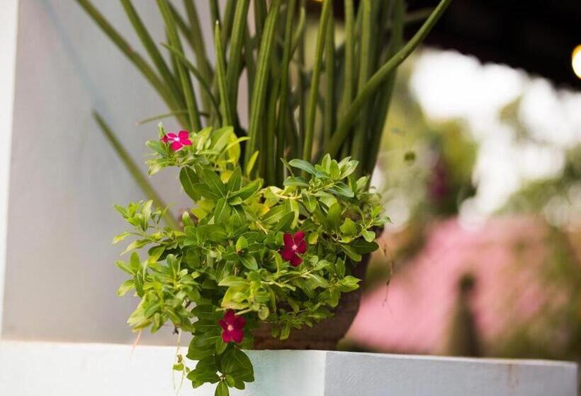 فندق Angkor Ry Boutique